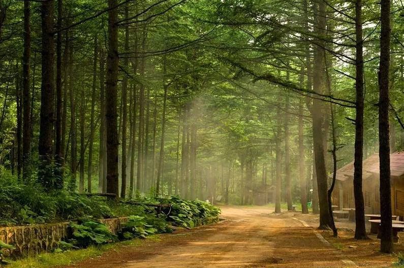 青天河洛阳旅游年票能用吗_洛阳到青天河风景区旅游攻略_洛阳青天河好玩吗