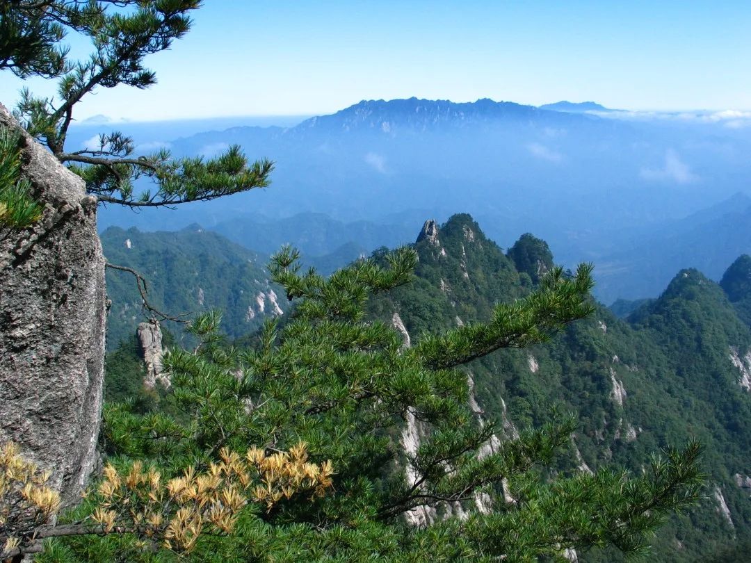 洛阳到青天河风景区旅游攻略_洛阳青天河好玩吗_青天河洛阳旅游年票能用吗