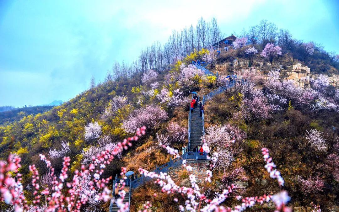 洛阳到青天河风景区旅游攻略_洛阳青天河好玩吗_青天河洛阳旅游年票能用吗