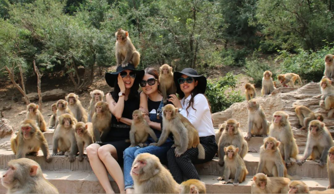 洛阳青天河好玩吗_青天河洛阳旅游年票能用吗_洛阳到青天河风景区旅游攻略
