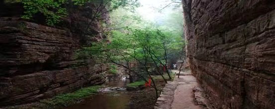 青天河洛阳旅游年票能用吗_洛阳到青天河风景区旅游攻略_洛阳青天河好玩吗