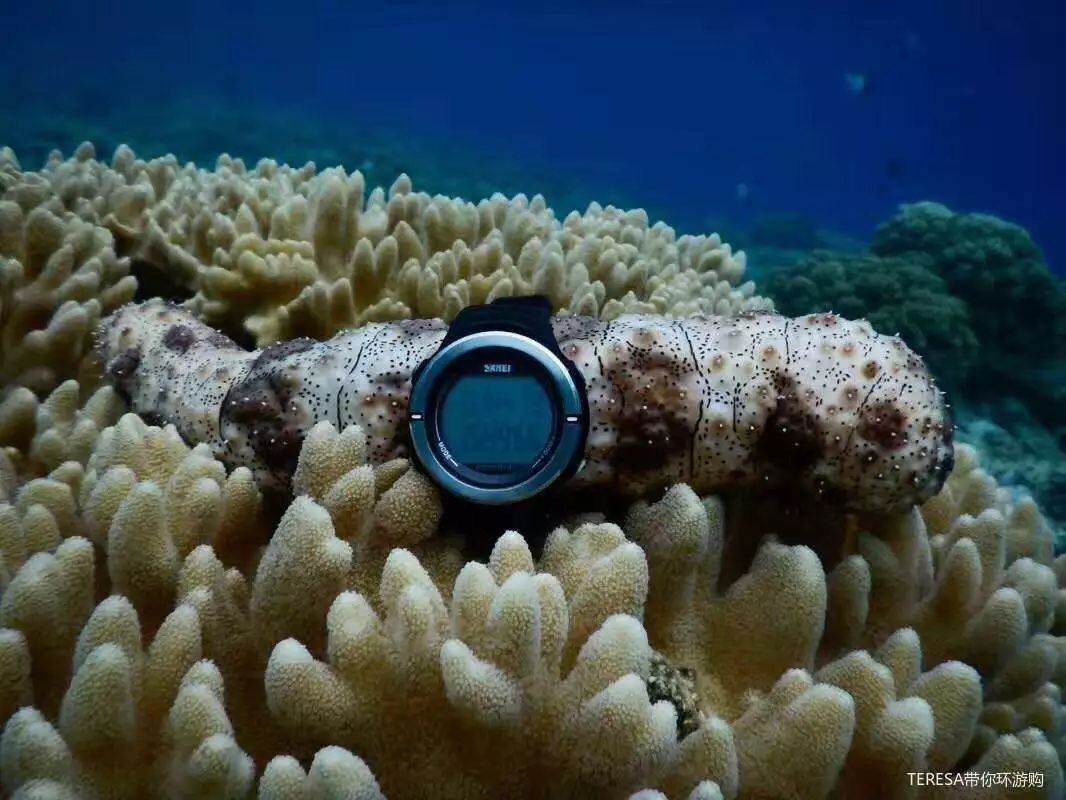 印尼西苏拉威西_印尼苏拉威西自由行旅游攻略_印尼苏拉威岛