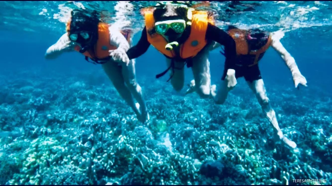 印尼西苏拉威西_印尼苏拉威岛_印尼苏拉威西自由行旅游攻略