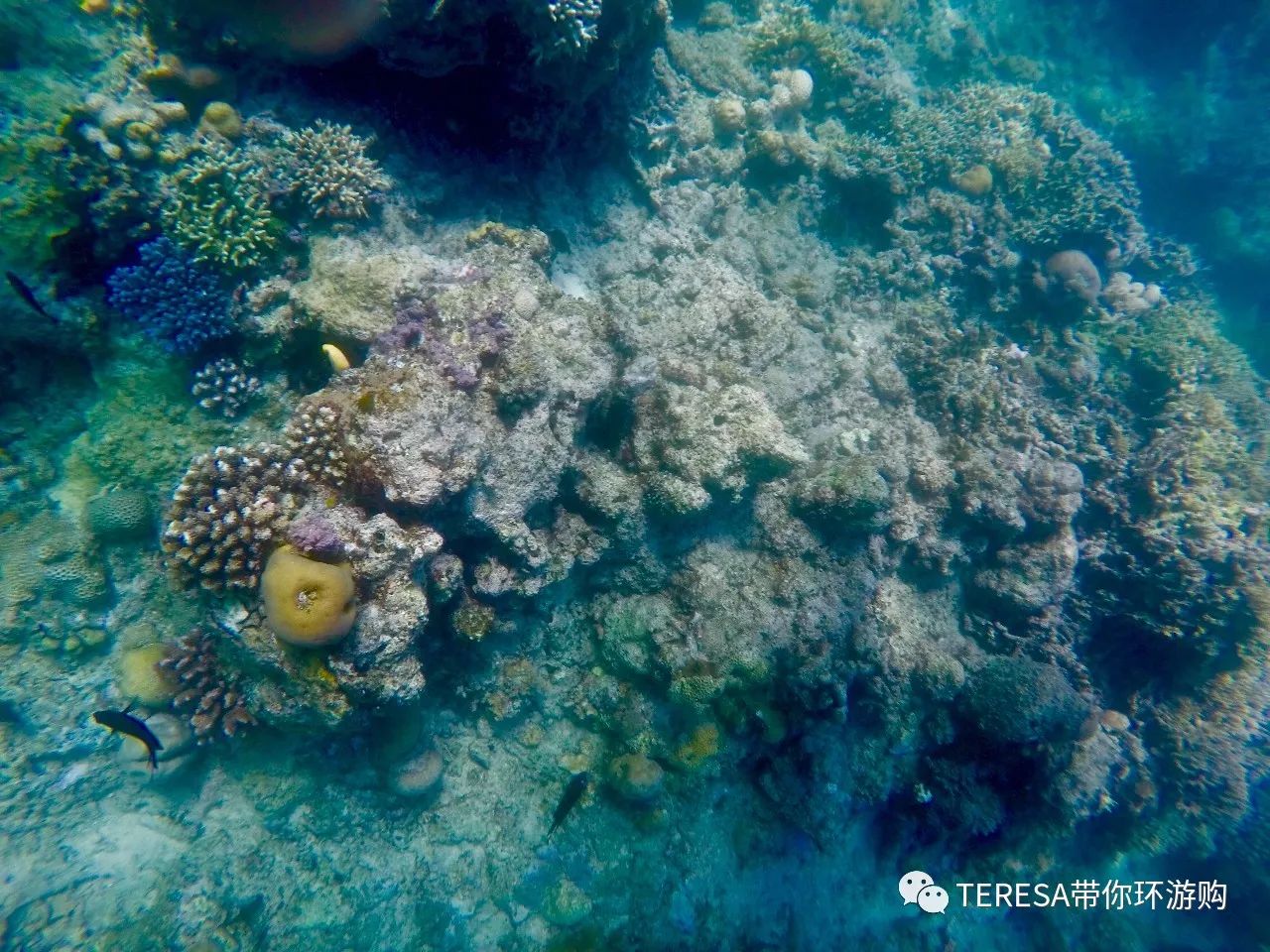 印尼西苏拉威西_印尼苏拉威西自由行旅游攻略_印尼苏拉威岛