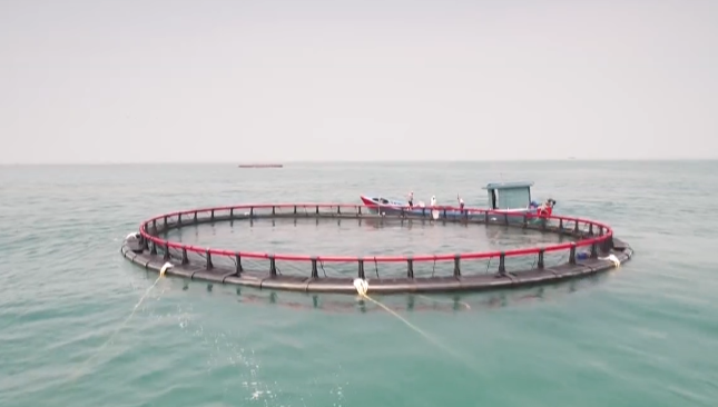 汕头岛攻略南澳旅游景点_汕头岛攻略南澳旅游路线_汕头南澳岛旅游攻略