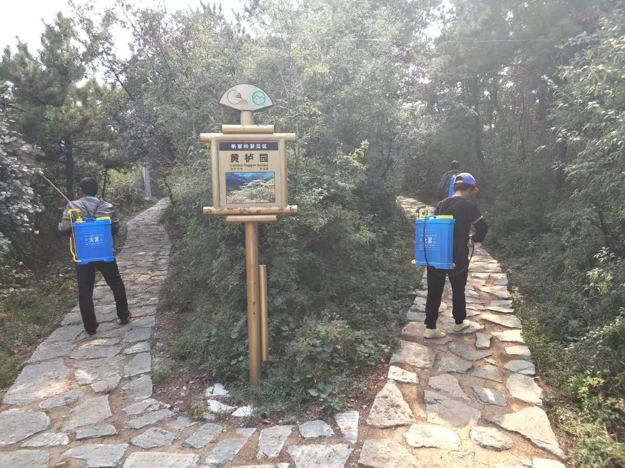 洛阳青天河风景区在哪_洛阳到青天河风景区旅游攻略_洛阳青旅旅游线路