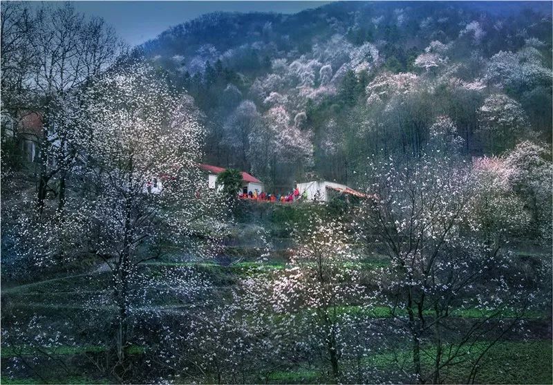 大别山旅游攻略_山东大学旅游景点_山大有什么好玩的地方