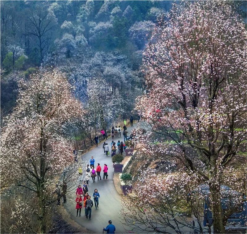 山大有什么好玩的地方_山东大学旅游景点_大别山旅游攻略