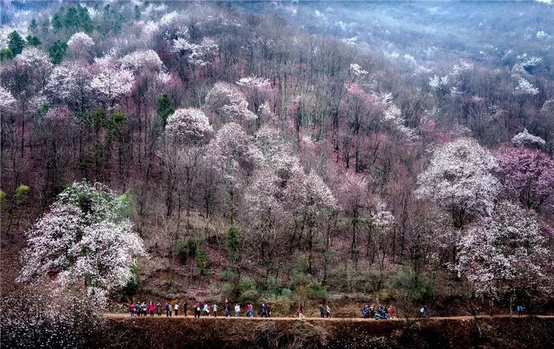 山东大学旅游景点_大别山旅游攻略_山大有什么好玩的地方