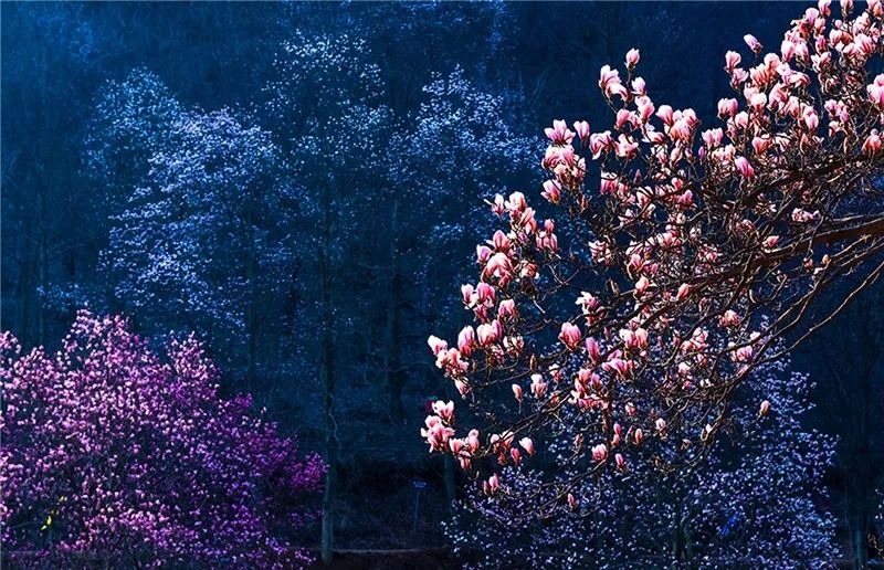 山大有什么好玩的地方_山东大学旅游景点_大别山旅游攻略