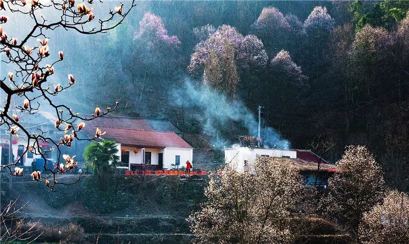 山大有什么好玩的地方_大别山旅游攻略_山东大学旅游景点
