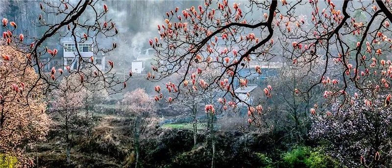 山大有什么好玩的地方_山东大学旅游景点_大别山旅游攻略