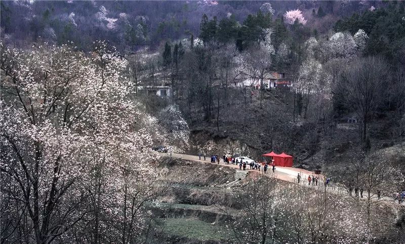 山东大学旅游景点_大别山旅游攻略_山大有什么好玩的地方