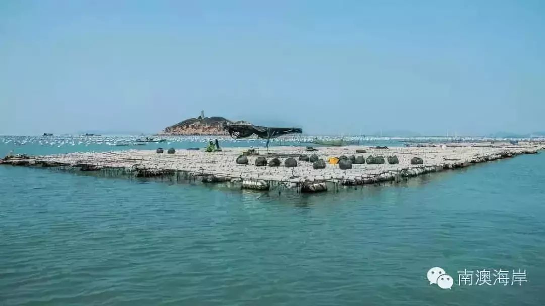 汕头南澳岛一日游最佳路线图_汕头旅游景点南澳岛_汕头南澳岛旅游攻略