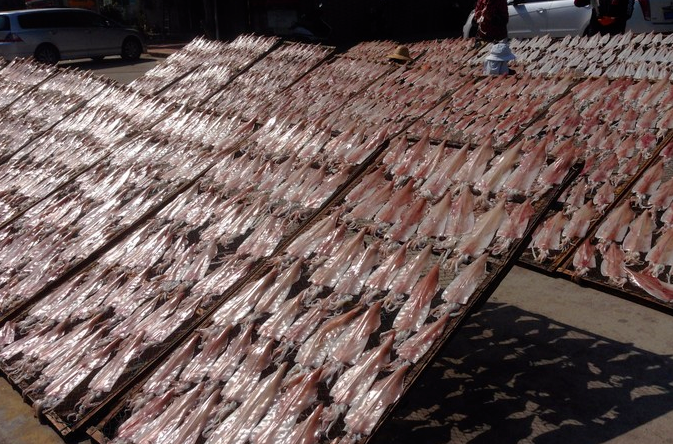 汕头旅游景点南澳岛_汕头南澳岛一日游最佳路线图_汕头南澳岛旅游攻略