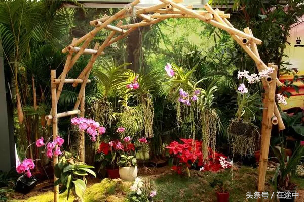 三亚攻略旅游龙仔湾路线_三亚龙仔湾在哪里_三亚龙仔湾旅游攻略