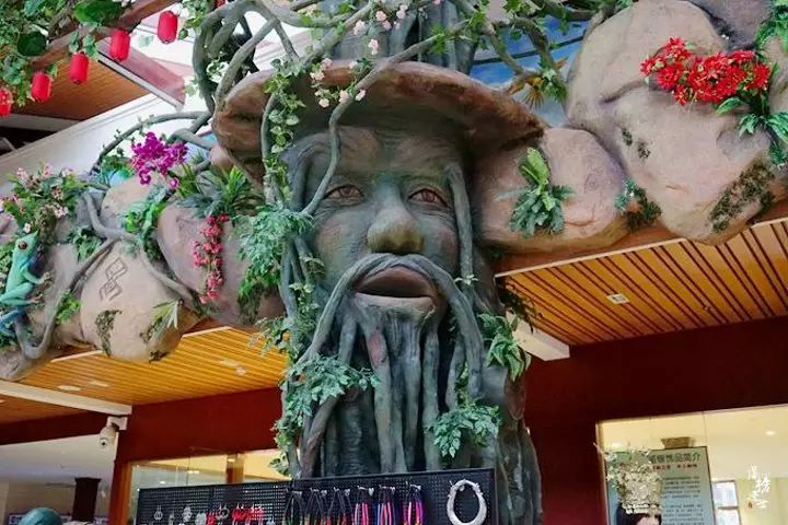 三亚旅游景点呀诺达_三亚呀诺达自由行攻略_三亚呀诺达旅游攻略