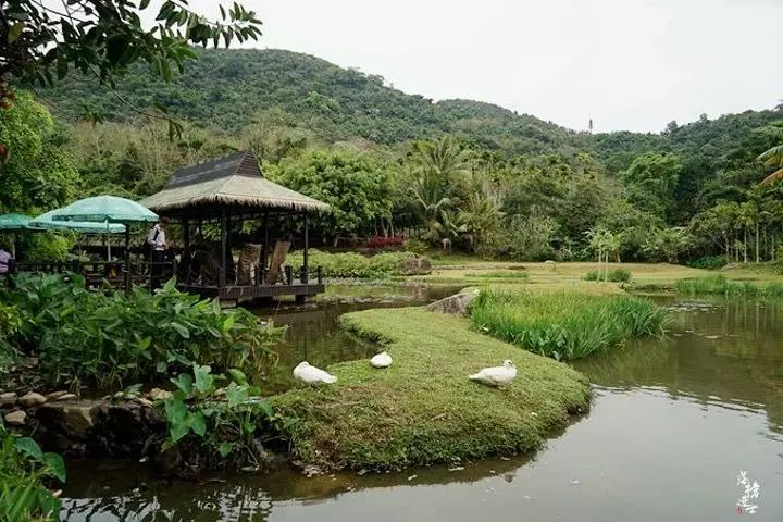 三亚呀诺达旅游攻略_三亚呀诺达自由行攻略_三亚旅游景点呀诺达