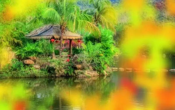 三亚旅游呀诺达_三亚亚诺达景区_三亚呀诺达旅游攻略