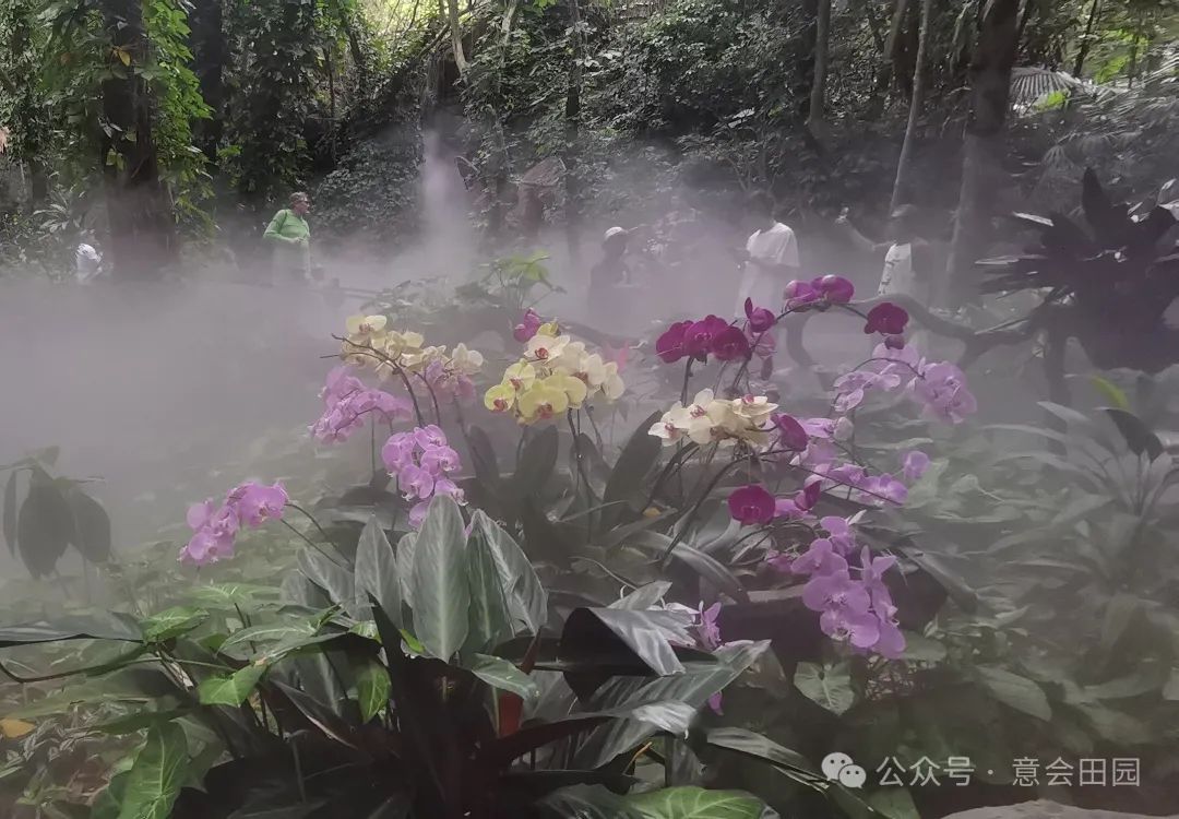 三亚呀诺达自由行攻略_三亚呀诺达旅游攻略_三亚亚诺达景区