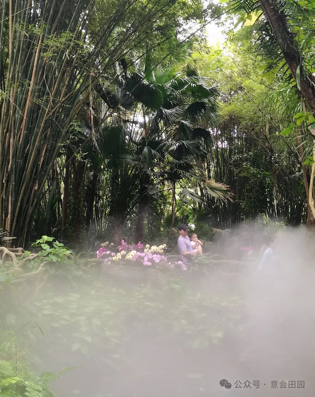 三亚亚诺达景区_三亚呀诺达旅游攻略_三亚呀诺达自由行攻略