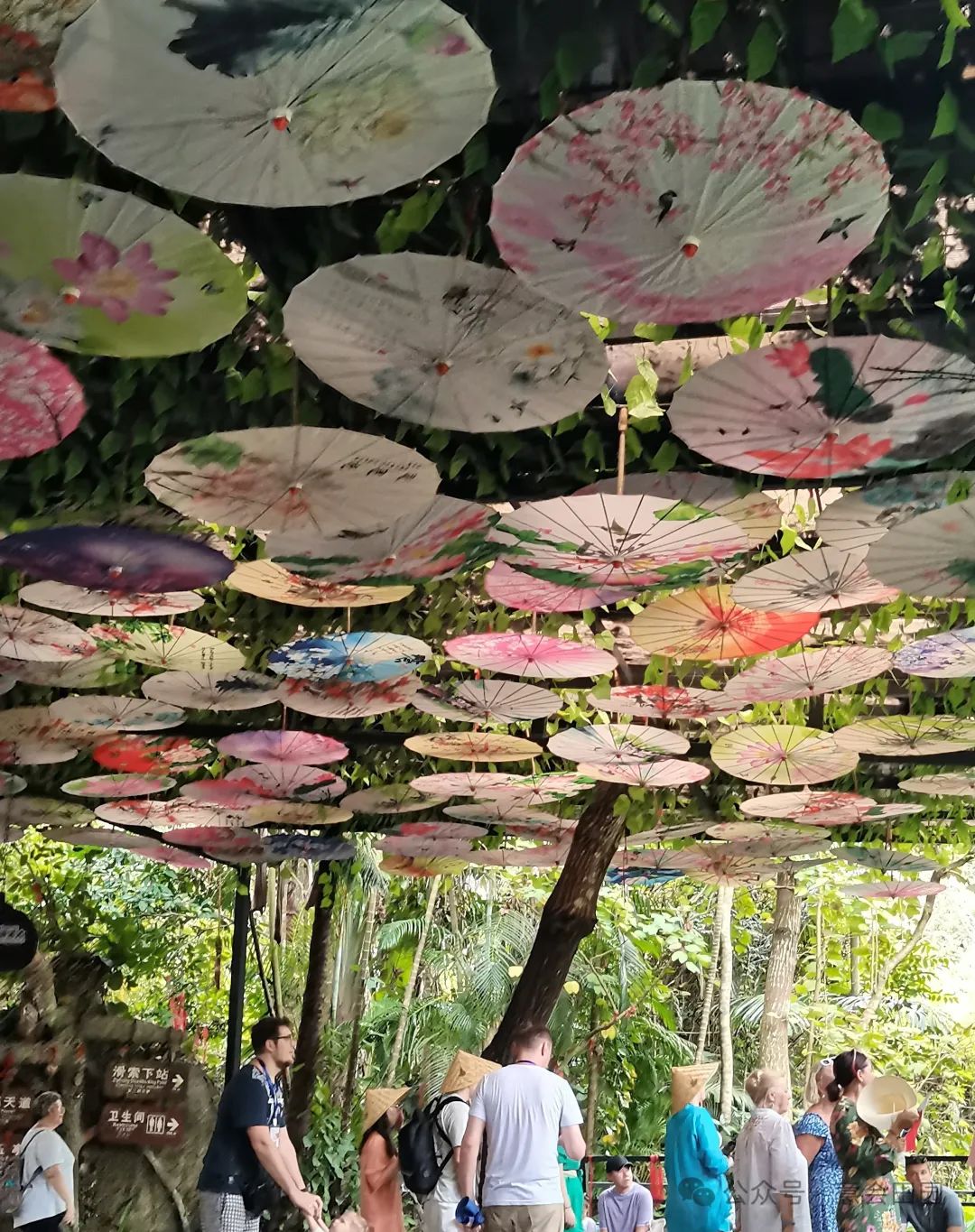 三亚呀诺达自由行攻略_三亚呀诺达旅游攻略_三亚亚诺达景区