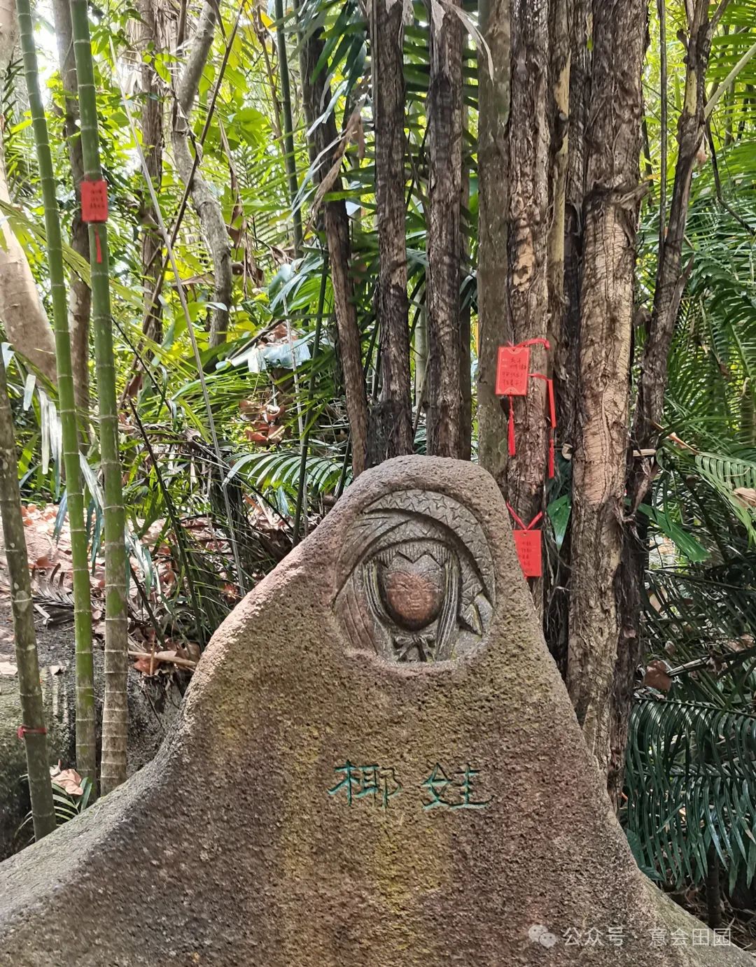 三亚亚诺达景区_三亚呀诺达自由行攻略_三亚呀诺达旅游攻略