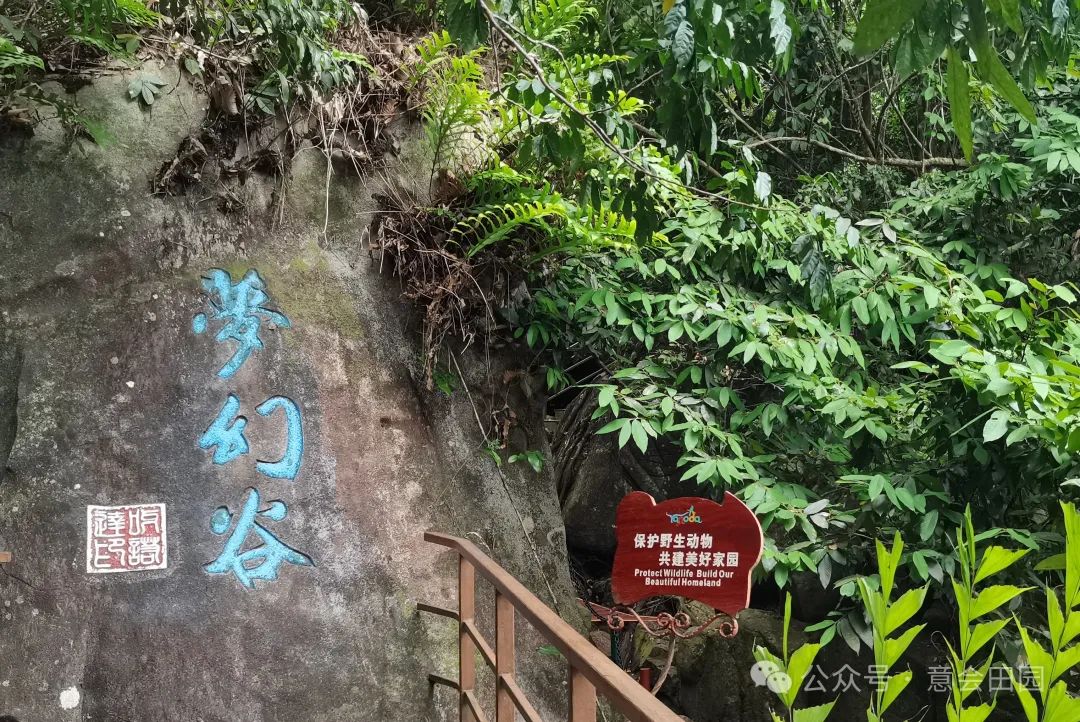 三亚亚诺达景区_三亚呀诺达旅游攻略_三亚呀诺达自由行攻略