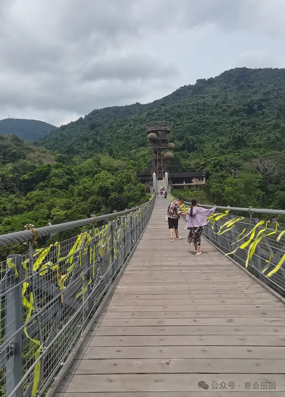 三亚亚诺达景区_三亚呀诺达旅游攻略_三亚呀诺达自由行攻略