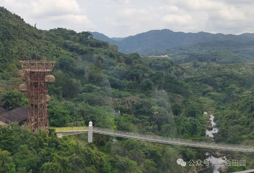 三亚呀诺达旅游攻略_三亚亚诺达景区_三亚呀诺达自由行攻略