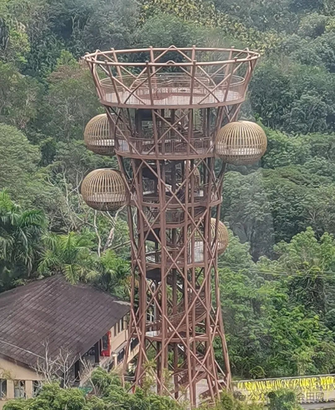 三亚呀诺达旅游攻略_三亚呀诺达自由行攻略_三亚亚诺达景区