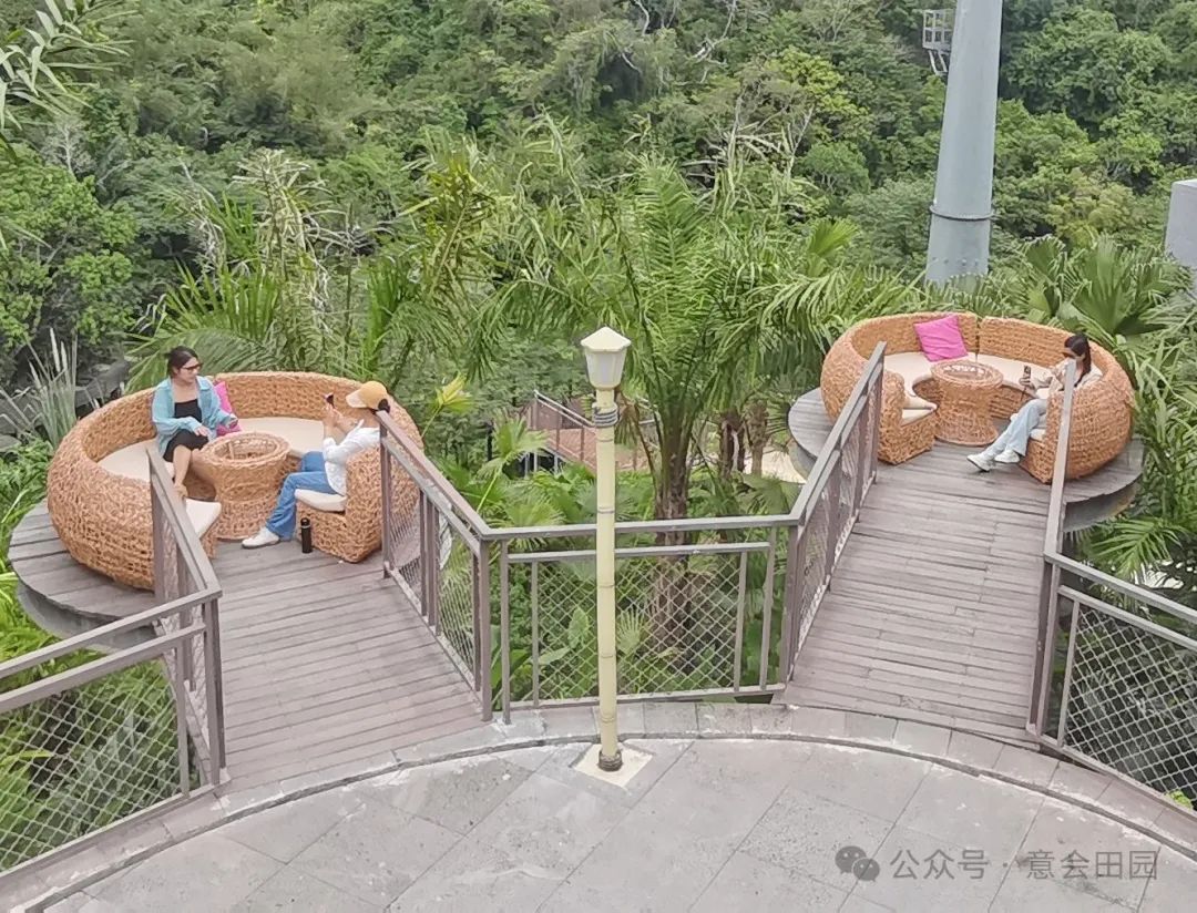 三亚亚诺达景区_三亚呀诺达旅游攻略_三亚呀诺达自由行攻略