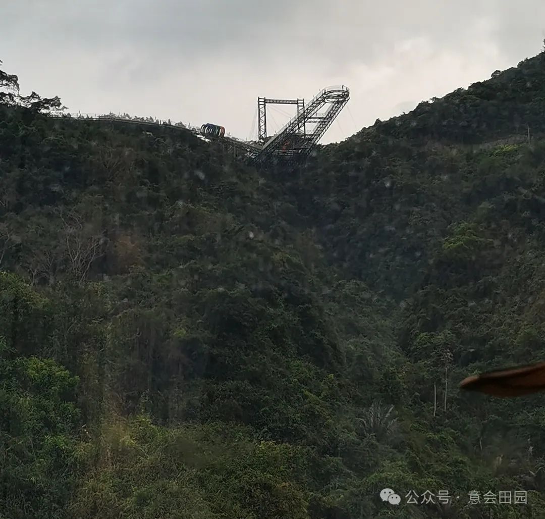 三亚呀诺达自由行攻略_三亚亚诺达景区_三亚呀诺达旅游攻略