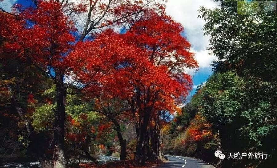 牟尼沟游记_牟尼沟游玩时长_牟尼沟旅游攻略