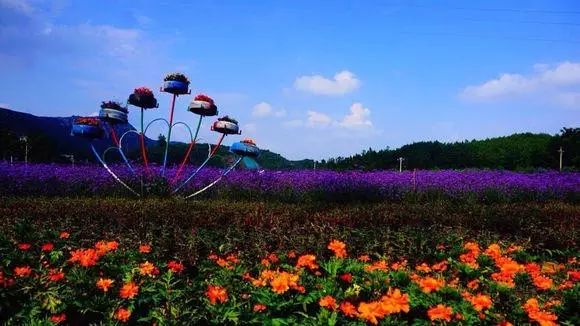 贵州的妥乐村_贵州妥乐村旅游攻略_贵州妥乐古银杏风景区图片