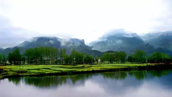 贵州妥乐村旅游攻略_贵州的妥乐村_贵州妥乐古银杏风景区图片