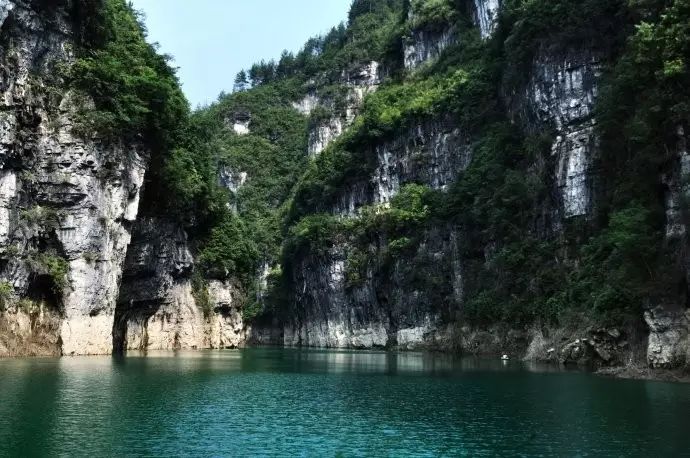 贵州妥乐村旅游攻略_贵州的妥乐村_贵州妥乐古银杏风景区图片