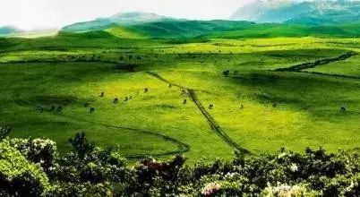 贵州的妥乐村_贵州妥乐村旅游攻略_贵州妥乐古银杏风景区图片