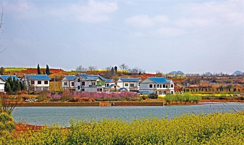 贵州的妥乐村_贵州妥乐古银杏风景区图片_贵州妥乐村旅游攻略