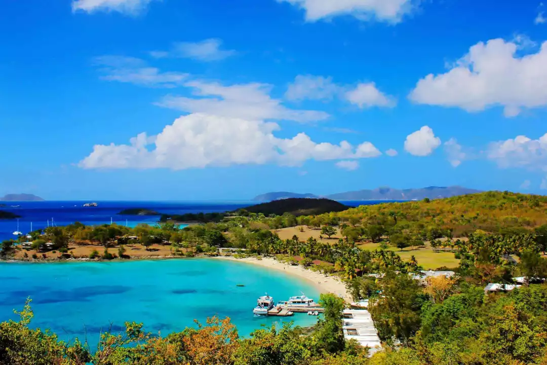 德国森林_德国黑森林旅游攻略_德国黑森林怎么去