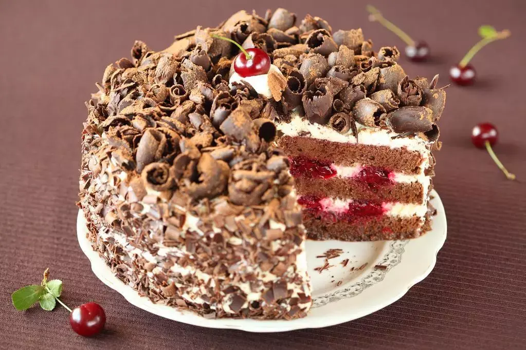 德国森林_德国黑森林怎么去_德国黑森林旅游攻略