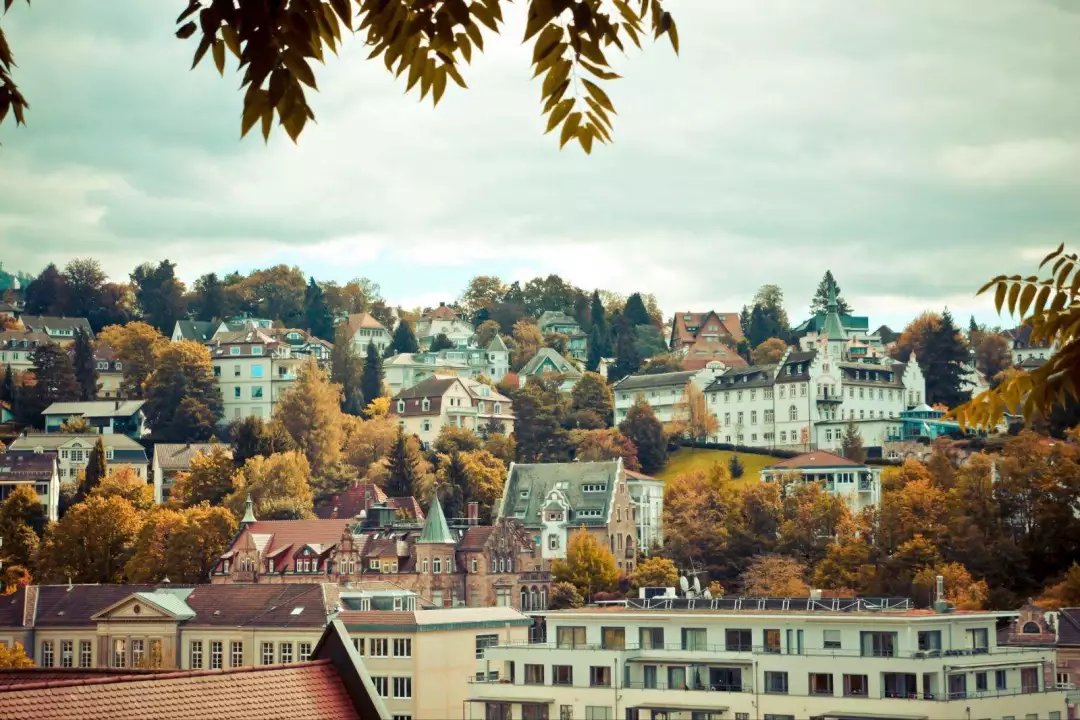 德国森林_德国黑森林旅游攻略_德国黑森林怎么去