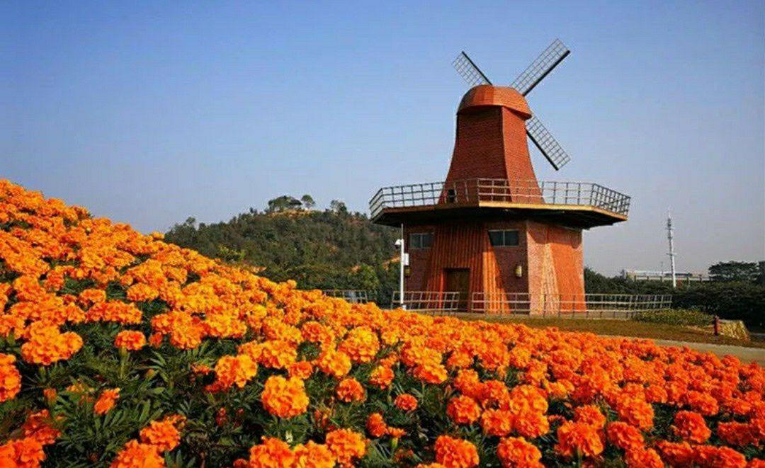 东莞城区游玩_市区攻略东莞旅游景点_东莞市区旅游攻略