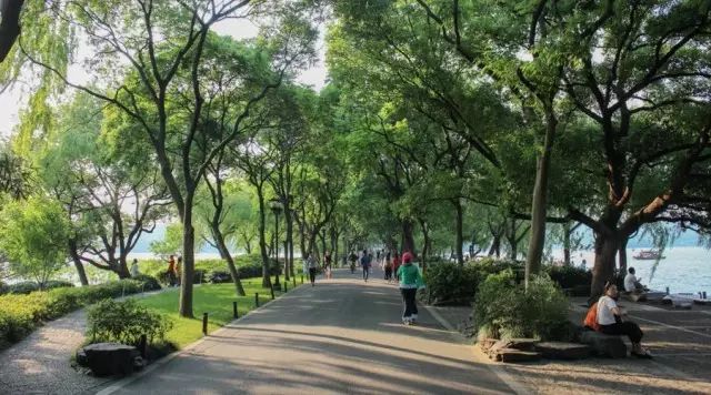 乌镇的旅游攻略_杭州和乌镇旅游攻略_乌镇攻略杭州旅游团