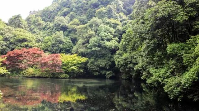 乌镇攻略杭州旅游团_杭州和乌镇旅游攻略_乌镇的旅游攻略