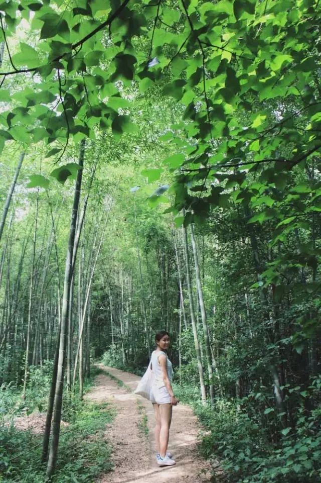 乌镇的旅游攻略_乌镇攻略杭州旅游团_杭州和乌镇旅游攻略