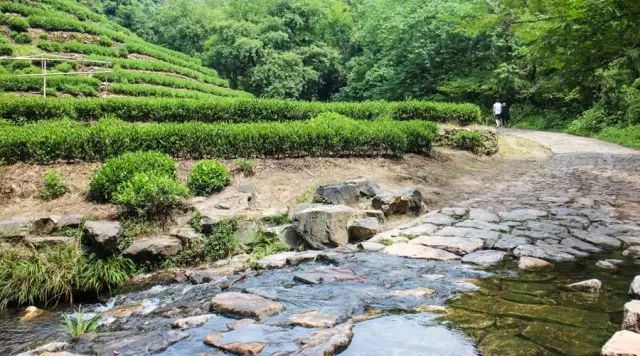 杭州和乌镇旅游攻略_乌镇的旅游攻略_乌镇攻略杭州旅游团