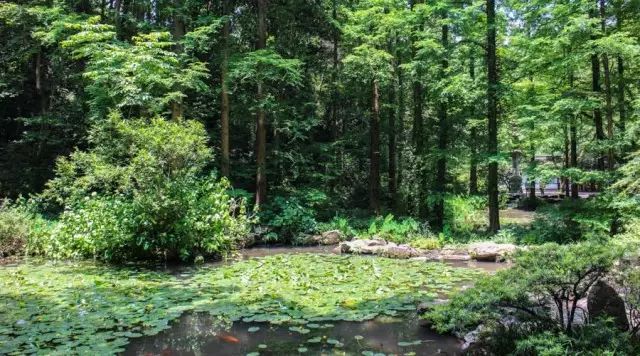 乌镇攻略杭州旅游团_乌镇的旅游攻略_杭州和乌镇旅游攻略