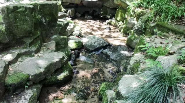 乌镇攻略杭州旅游团_杭州和乌镇旅游攻略_乌镇的旅游攻略