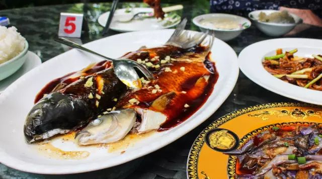 乌镇攻略杭州旅游团_杭州和乌镇旅游攻略_乌镇的旅游攻略